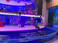 -成都浩海立方海洋公园