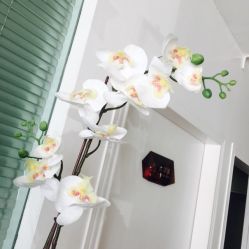 -Sasoo三和秀科技护肤抗衰中心