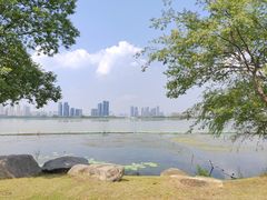 -东湖生态旅游风景区