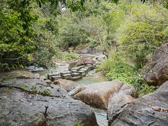 -广州白江湖森林公园