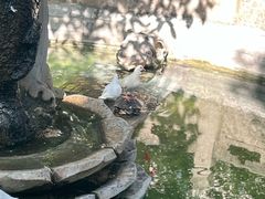 -西安大兴善寺