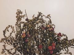-团子君寿司·茶