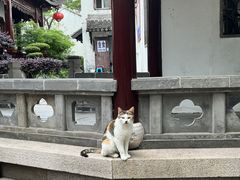 -檀园