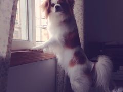 -金逸影城(联发广场店)