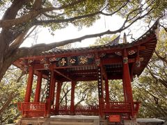-乌山风景区