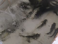 -金台阶鱼馆(于桥水库店)