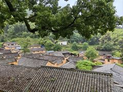 -杨家堂村