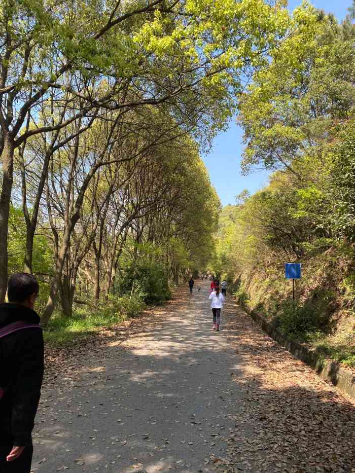 惠山國家森林公園