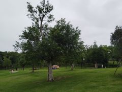 -牛岗山公园