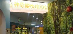 点击看大图 -神奇动物撸宠馆·羊驼·小浣熊·异宠(豫园店)