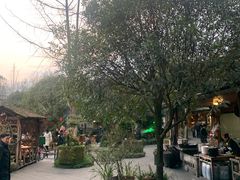 -青城甲(青城山店)