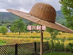 -塔川景区