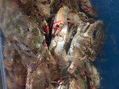 -宾朋海鲜特色美食餐厅·纯手工鲅鱼水饺(兴海路店)