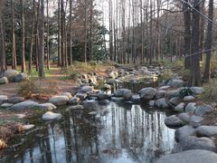 -上海共青森林公园