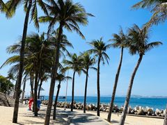 -海南分界洲岛旅游区