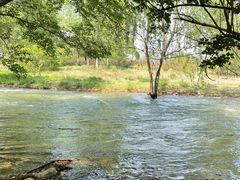 -永定河休闲森林公园