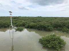 -北海金海湾红树林生态旅游区