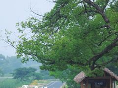 -良渚古城遗址公园