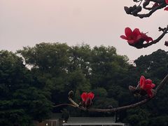 -东山湖公园