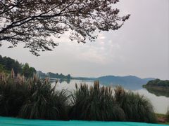 -东湖落雁景区