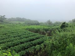 -许家山