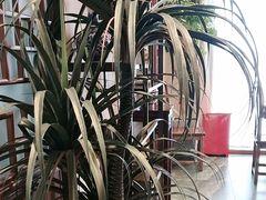 -梁溪河畔·吉府花园(南长街南下塘店)