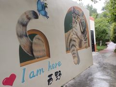 -青藏高原野生动物园