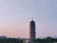 -葛仙湖公园