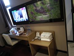 -麗枫酒店(武汉吴家山五环体育中心店)