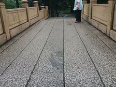 -晓港公园