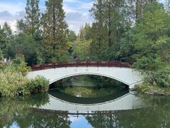 -东平国家森林公园