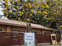 -洲头咀公园