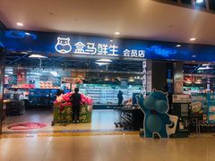 门面-盒马鲜生(宝地店)