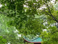 -岳麓山风景名胜区