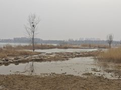 -绿堤公园