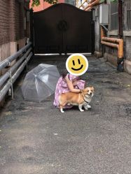 -艾米丽儿童摄影