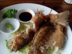 android_upload_pic-日出青木·杭帮菜名店