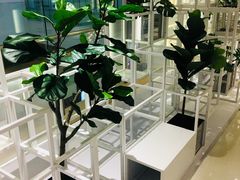 -叶子与茶(苏宁广场店)
