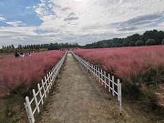 -嘉北郊野公园