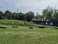 -滆湖低碳生态公园