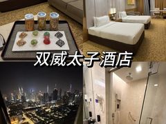 -吉隆坡国油双峰塔
