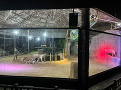 -清迈夜间动物园