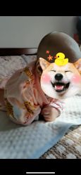 -龙文宝贝上门婴儿理发满月剃胎毛(浦东店)