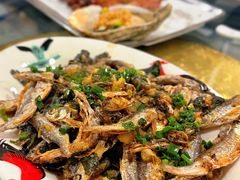 -洞密园美食城·二十二年老店(富华路店)