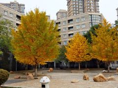 -辽宁大学(崇山校区)