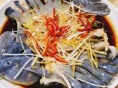 -煲来饱去冷水鱼