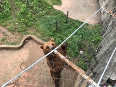 景点-无锡动物园·太湖欢乐园