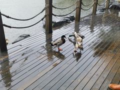 -上海怡沁园度假酒店