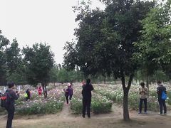 -艾溪湖湿地公园