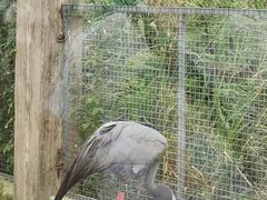 -盐城丹顶鹤湿地生态旅游区